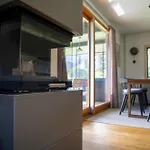 Chalet Ole Kaethe Kalifornien